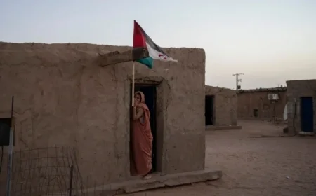 UN Security Council Endorses Morocco’s Western Sahara Plan in Notable Shift