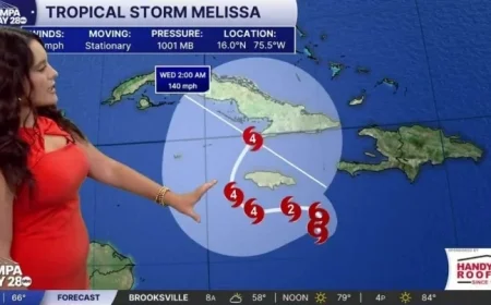 Sunny Skies Promise a Pleasant Start to the Day