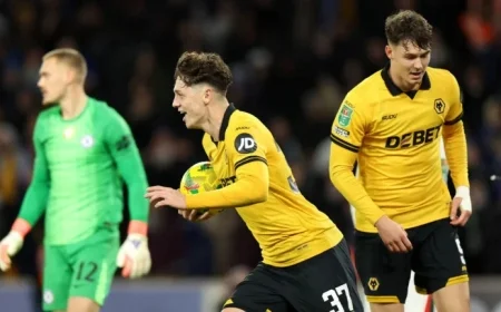 Fulham vs Wolves Match Preview: Key Features and Insights