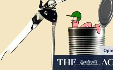 Ashes Series Begins with Australia Struggling to Find an Opener Amid Selection Challenges