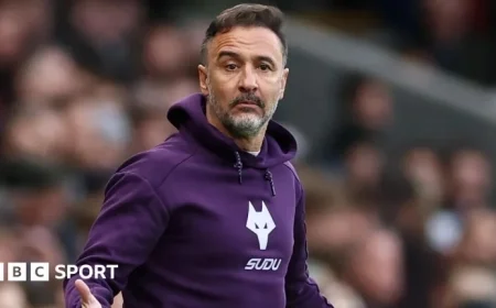 Fulham vs Wolverhampton Wanderers: Premier League Preview with Team News, Stats, and Head-to-Head Analysis