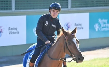 Melbourne Cup 2023: Racing Victoria Vets Reassess Four Horses as Final Lineup Forms