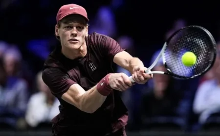 Sinner Defeats Shelton to Secure Paris Semifinal Spot