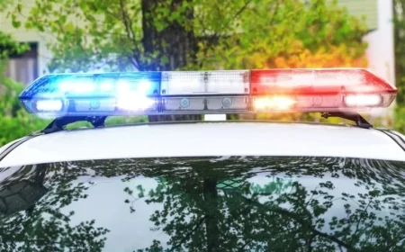 Louisiana Police Discover Missing Girl in Brighton Heights Basement