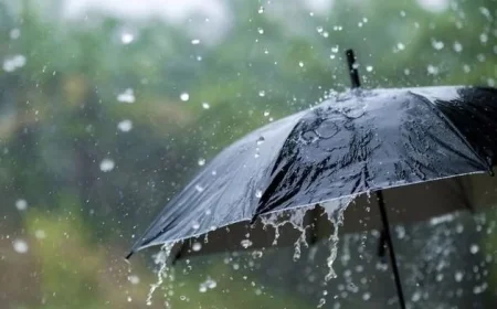 Met Éireann issues rain warning for four counties on Sunday prompting flood risk and travel disruptions