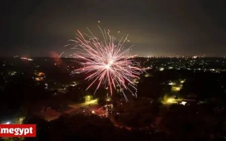 Fire and Emergency Warns of Surge in Fireworks Fires Reaching Highest Levels Since 2019