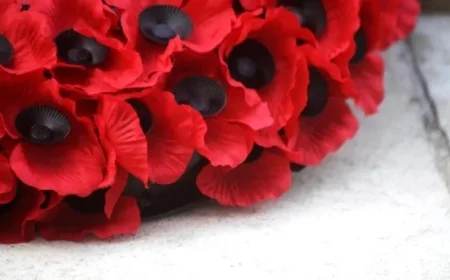 Remembrance Sunday 2025 Road Closures: Everything You Need to Know
