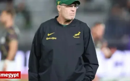 Find Out When the Springboks Will Meet Their 2027 Rugby World Cup Rivals