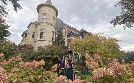 Weekend Highlights: Top Events from October 31 to November 2