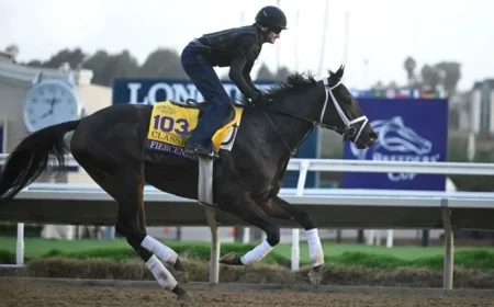 Breeders’ Cup Classic Wide Open as Sovereignty Withdraws From Exciting Field
