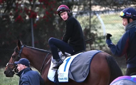 Melbourne Cup Lineup and Barrier Draw Released Buckaroo Half Yours Secure Prime Positions While James McDonald Prepares for Challenging Race