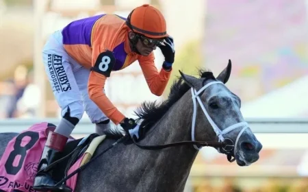 Ted Noffey Triumphs in Breeders’ Cup Juvenile Victory