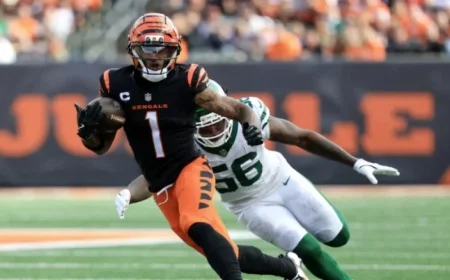 Bears vs Bengals Key Highlights to Keep an Eye On