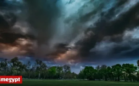 Adelaide Weather Forecast: What to Know for Sunday November 2nd and the Upcoming Days