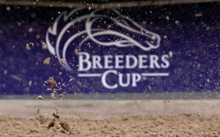 2025 Breeders’ Cup Classic: Winner and Final Standings Revealed