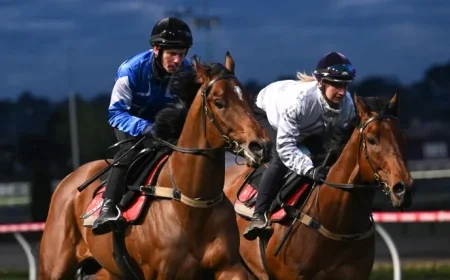 Melhams Gear Up for Historic Melbourne Cup as Racing Takes Priority Over Wedding