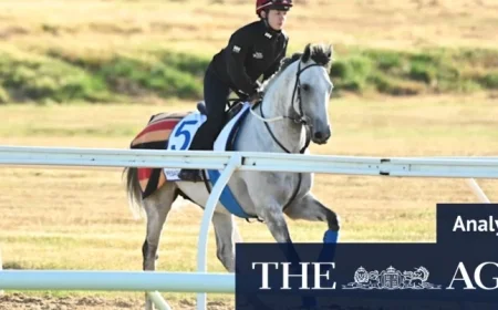 Guide to Winning the Melbourne Cup Trifecta: Fairytales Meet Heavyweights