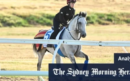 Mastering the Melbourne Cup Trifecta: From Dreams to Dominance