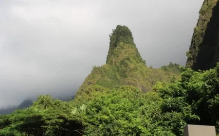 September 2025 Sees Surge in Visitor Spending