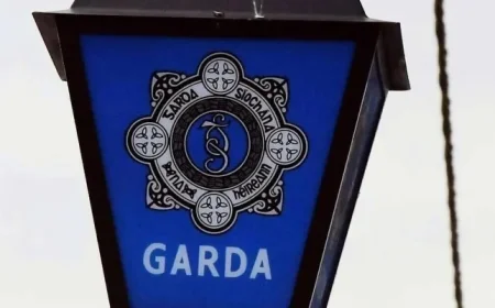 Fatal Assault Claims Life of Young Man in Dublin