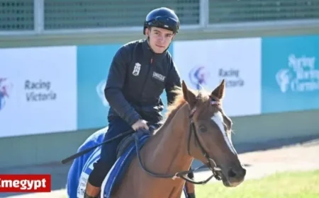 Melbourne Cup 2023: Racing Victoria Vets Evaluate Four Horses for Final Lineup