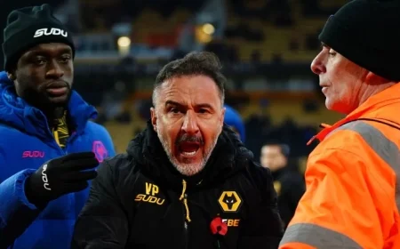 Vitor Pereira dismissed as Wolves manager weeks after contract renewal with team still winless at bottom of Premier League
