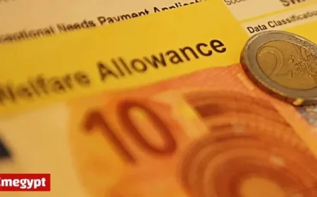 Taxpayers Hit Hard by Over €15 Million in Mistaken Welfare Payments