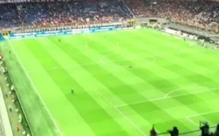 Fiorentina Falls to Lecce, Bari Triumphs Over Cesena, Potenza Dominates Foggia, and Sinner Reclaims World Number 1 Rank