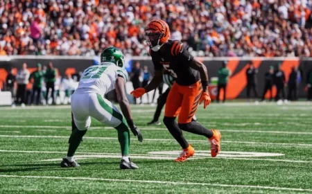 Tee Higgins Scores 44-Yard Touchdown for Bengals vs. Bears