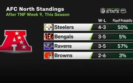 Ravens’ Win Alters Playoff Odds for AFC North Teams