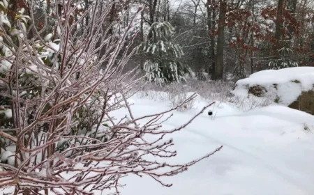 Southern New England’s Winter 2025-2026 Forecast Revealed