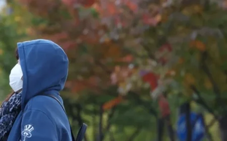 November Cold Wave Drops Seoul to -2.8°C as Chill Continues Through Tomorrow