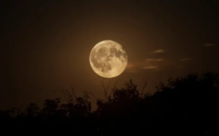 November 3, 2025: Explore Today’s Moon Phase