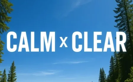 Tampa Weather: Clear Skies, Mild Breezes Until Weekend Warm-Up