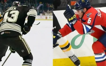 St. Louis Blues, Washington Capitals Exchange AHL Players