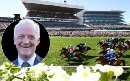 Accredited Journalists Announced for Farul vs Miercurea Ciuc Match