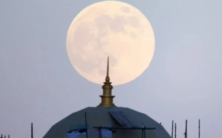 Discover the Ultimate Guide to Spotting the Beaver Supermoon 2023’s Largest Full Moon