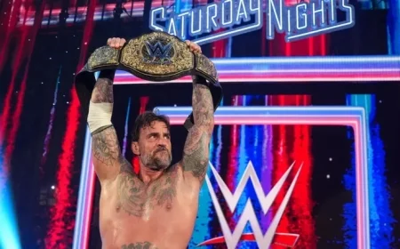 Top 3 Wishlist Items for CM Punk’s WWE Heavyweight Championship