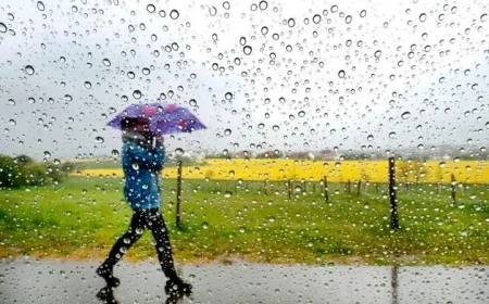 Ireland Weather Alert: Met Éireann Announces Status Yellow Rain Warning for Six Counties with Potential Flooding Risk