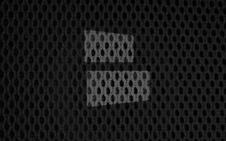 Blazers Acquire Game-Changing Player After Hornets’ Major Error