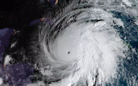 Two Forecast Models Dominate This Hurricane Season for Distinct Reasons