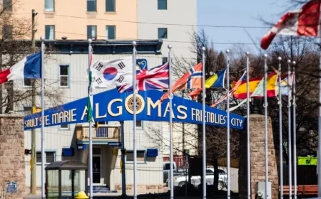 Civic Centre Gallery to Welcome New Flag Display