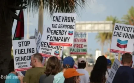 Participate in the Chevron Boycott Action Day on November 22