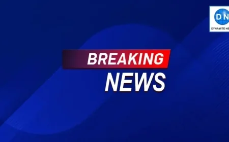 Discover the Top News Headlines for November 4 in Just One Click