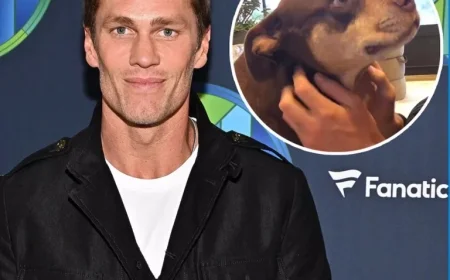 Tom Brady Clones Late Dog Lua, Welcomes Junie