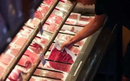 Election Day Highlights Inflation Denial and Free Travel Opportunities Catch Up on Today’s Top Stories