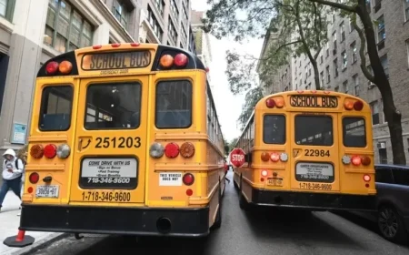 Mayor Mamdani Likely to Abandon Local Schools