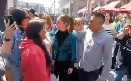 Video Shows President Claudia Sheinbaum Harassed Walking in Mexico City