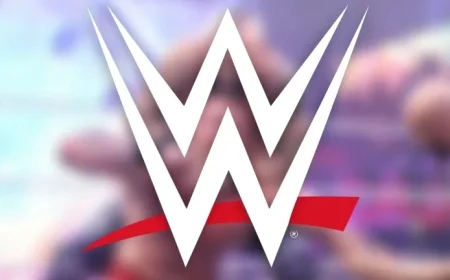 Former WWE Star Criticizes Company for Lack of Support