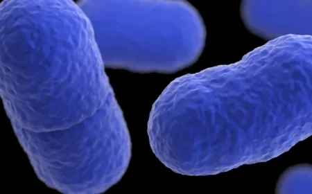 Listeria Outbreak Linked to Pasta Kills 6, Hospitalizes 25